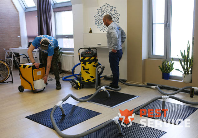 Профессиональная сушка после потопа в Челябинске от 3000 руб. Быстро устраняем влагу, предотвращаем плесень и повреждения. Современное оборудование и опытные специалисты. Безопасно и эффективно.